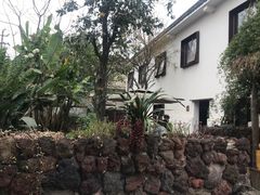 -悦哉·派对·草坪婚礼·围炉煮茶(三圣乡店)