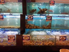 水产区-南海渔家•海鲜•正宗海南菜(海棠湾店)