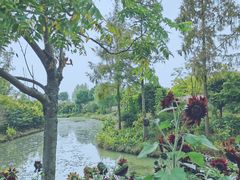 -花开海上生态园