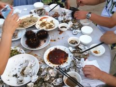 -兴旺渔家