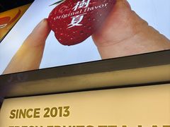 -树夏(建设路店)