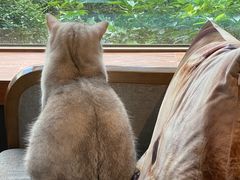 -咖法森林·咖啡  酒吧(天河店)