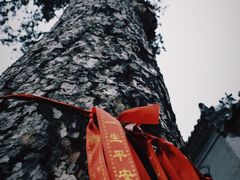 -圣莲山风景区