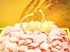 -BLACKSWAN黑天鹅(环球店)