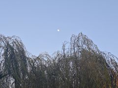 -东山湖公园