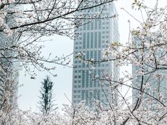 -西北湖绿化广场