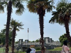 -苏州太湖西山岛开心农场
