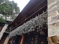 -寂照庵