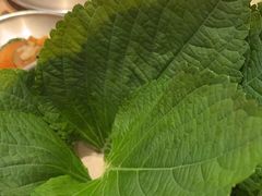 -西塔老太太泥炉烤肉(北京望京店)