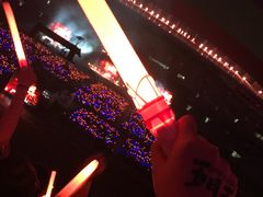 -南京奥林匹克体育中心-体育馆