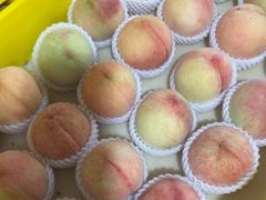 -老袁家蜜桃农场·阳山水蜜桃