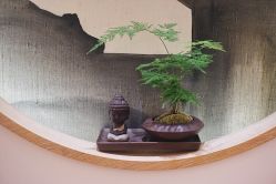 -一本X目奈子日式单根美睫专业店