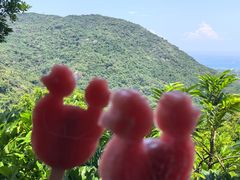 -三亚亚龙湾人间天堂鸟巢度假村