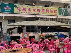 -霞姐屯昌枫木香草鸭店(海螺店)