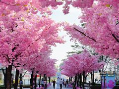 -东莞松山湖万象汇