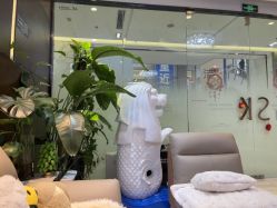 -洁铭新加坡医美