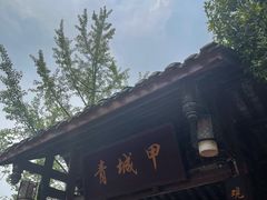 -青城甲(青城山店)