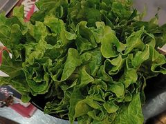 -丰收碗·陈皮果木烧鹅·23年老字号