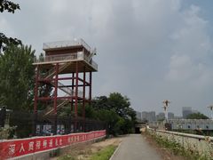 -万源龙顺度假庄园生态观光园