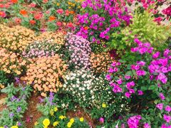 -漩门湾国家湿地公园