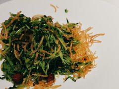 巧拌豆苗-四季民福烤鸭店(王府井灯市口店)