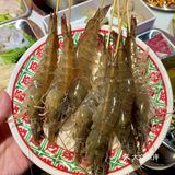 够鲜👍👍绵阳新开的现捞现煮的海鲜火锅！！