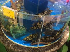 -新海渔港·胶东海鲜家常菜·家宴(奥体中心店)