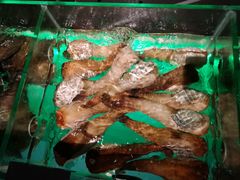 -JUKEBOX玖部音乐餐厅(华侨城店)