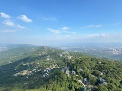 -大金鹰园
