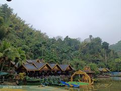 -西双版纳原始森林公园