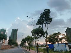 -网鱼电竞·棋牌(五一广场店)
