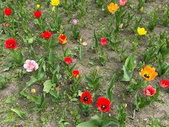 -长春公园(普阳街道)