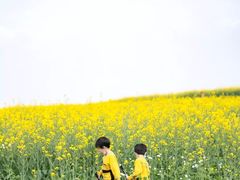 -光明小镇欢乐田园
