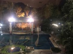-鱼凫国都大酒店温泉
