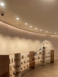 -in BEAUTY法国原液之谜