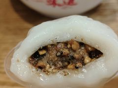 -海丝金凤(金鱼店)