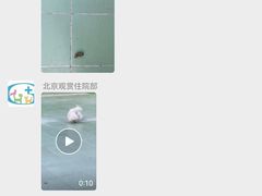 -北京观赏动物医院·24小时大型综合·猫专科·异宠专科