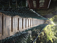 景点-东林大峡谷