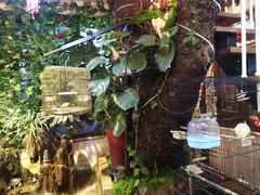 -丽江庭院·云南野生菌·海鲜火锅(鼓楼四合院店)