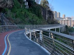 -大渡口区义渡公园