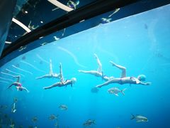 -瑞德姆美人鱼海底演艺主题餐厅(亚龙湾店)