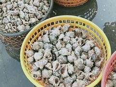 -王四营海鲜市场