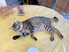 -官塘陈记鱼生·潮汕砂锅粥·牛肉火锅(潮枫路总店)