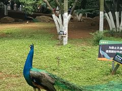-昆明动物园