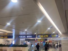 -上海浦东国际机场-T2航站楼