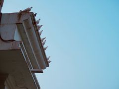 景点-鸽子窝公园