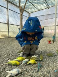 -萌宠亲子动物乐园(槐房万达店)