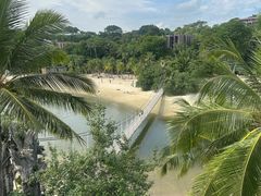 -圣淘沙天际线斜坡滑车
