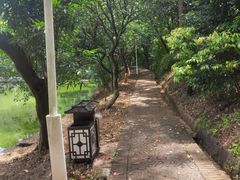 -大雁山风景区