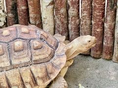 -水上乐园·欢乐世界